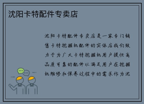 沈阳卡特配件专卖店