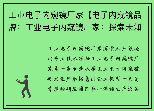 工业电子内窥镜厂家【电子内窥镜品牌：工业电子内窥镜厂家：探索未知领域的专业技术领袖】